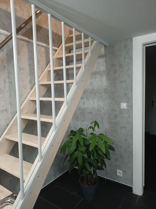 Gite Chez L'Oncle Paul Urschenheim Zewnętrze zdjęcie